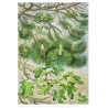 Painting with a conifer & a fig tree