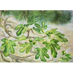 Fig tree leaves painting detail