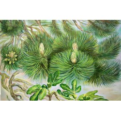 Nadelbaum Gemälde, Malerei auf Leinwand Detail
