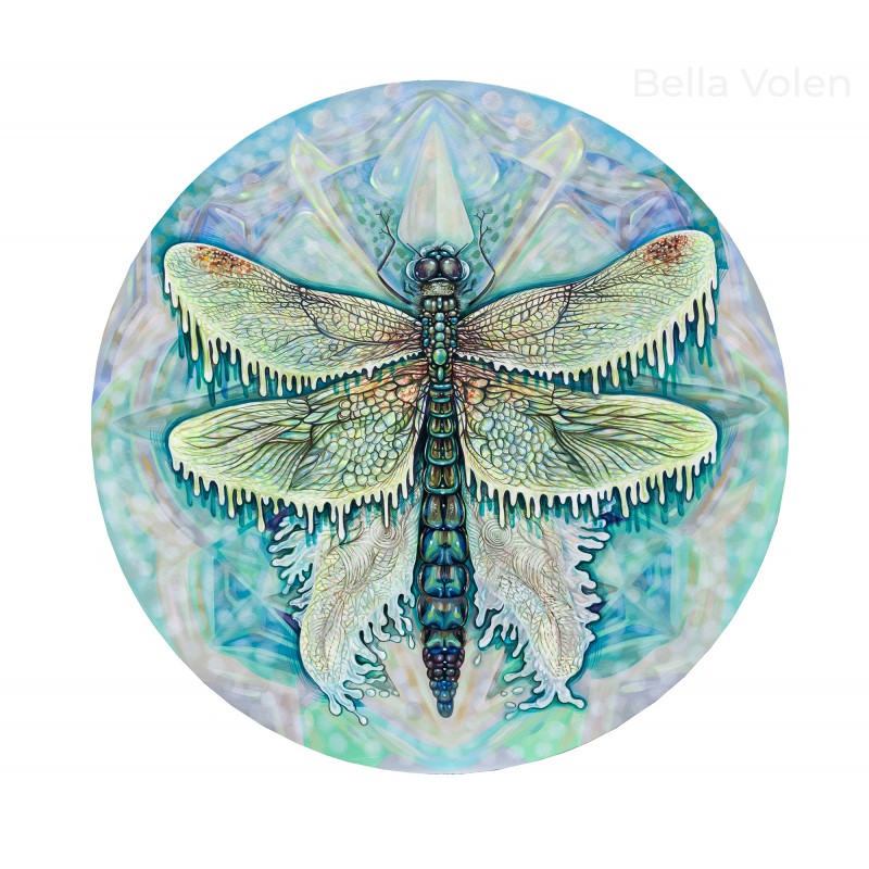 Wings of Self-Discovery- framed print
