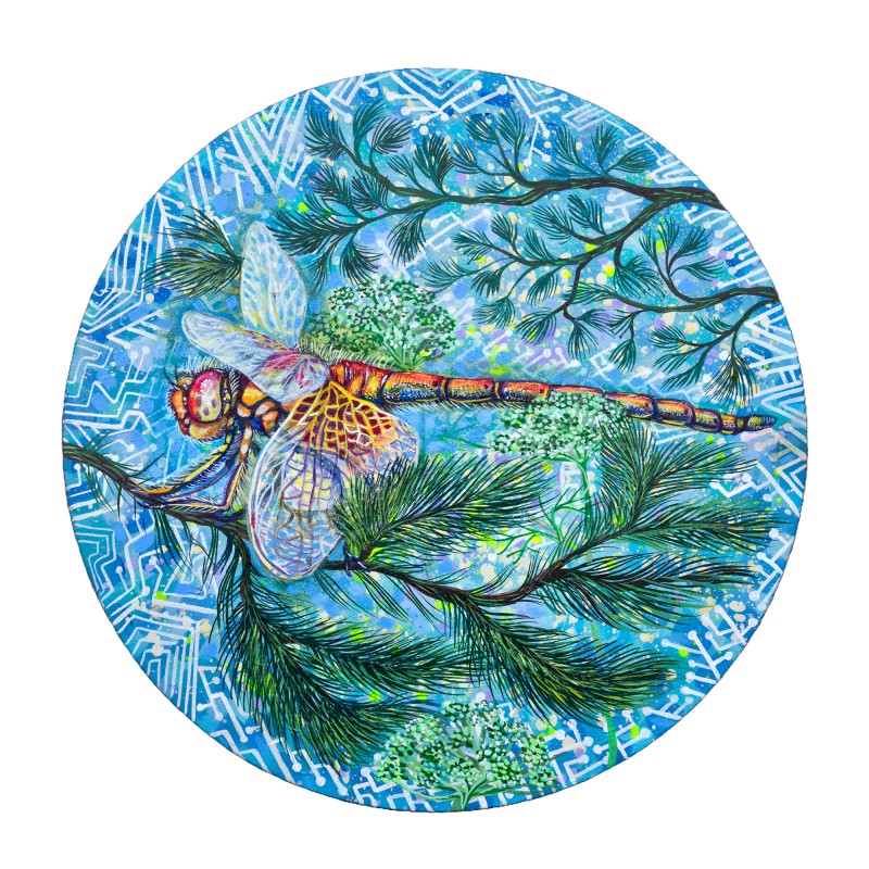 Summer Night - Dragon fly painting