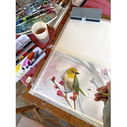 Watercolor-1. September, 1 Day Workshop
