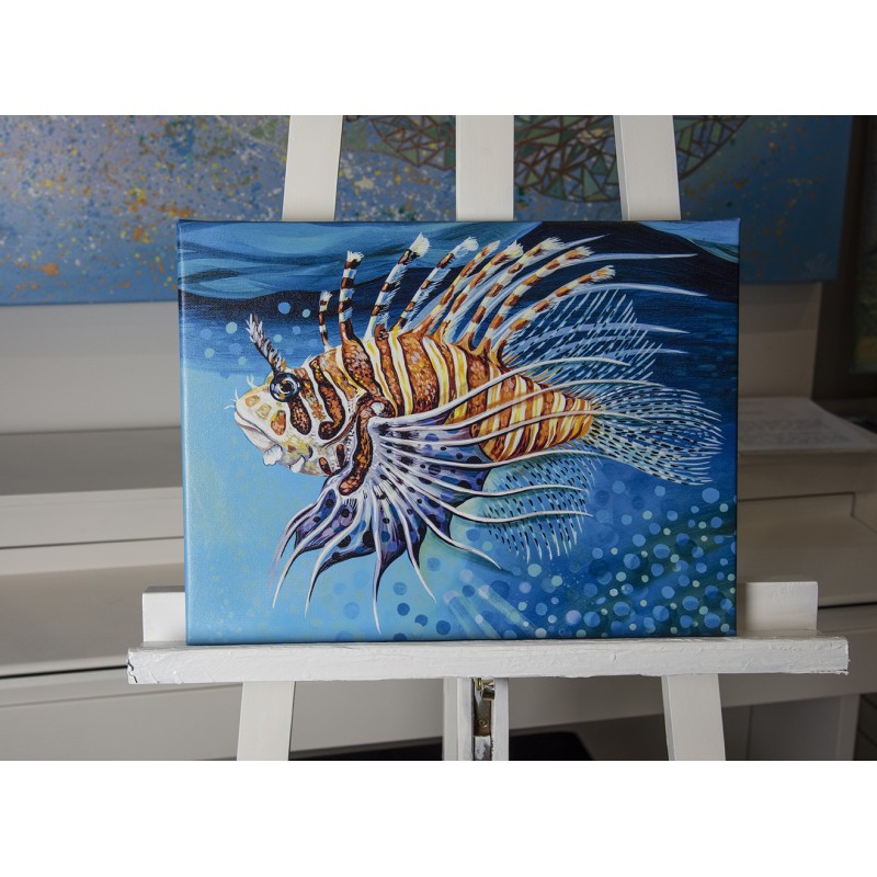 Zebra Fisch, 30 x 40 cm, Kunstdruck