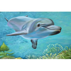 Dolphin /30 x 40 cm/ Print...