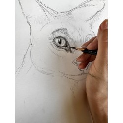 1 Tag Portrait Zeichnen Kurs /Mensch oder Tier/ in Wien am 20. August 2023
