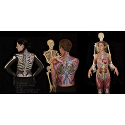 3 DAYS Bodypainting Workshop for 1 person
