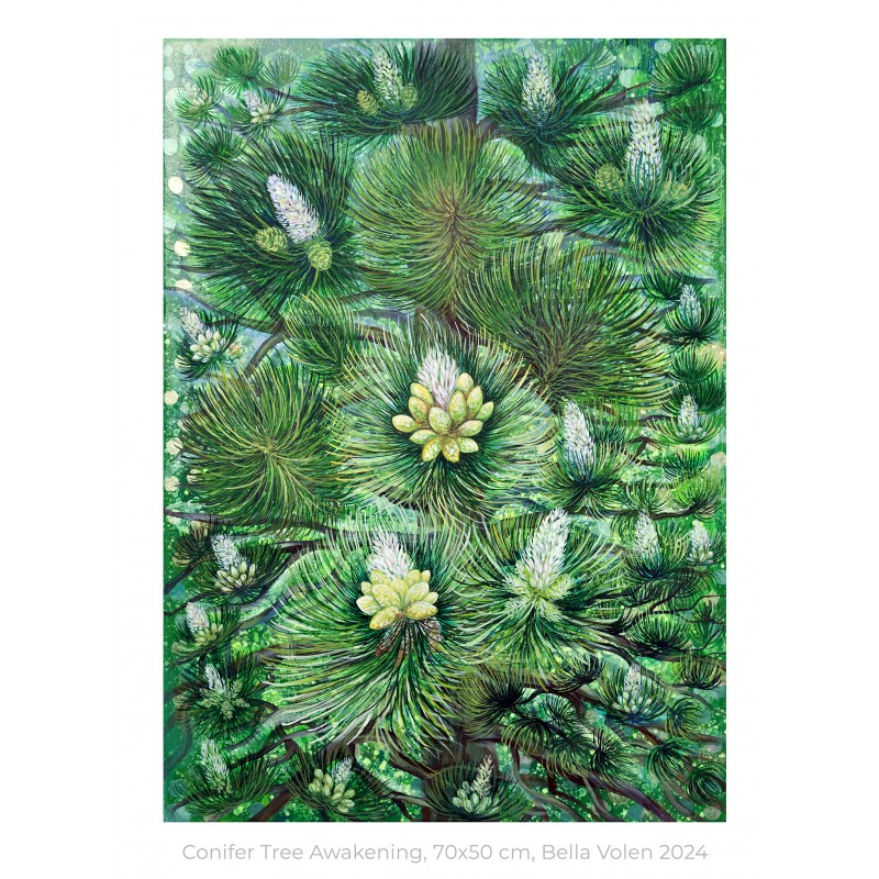 The Conifer Tree Awakening /painting/